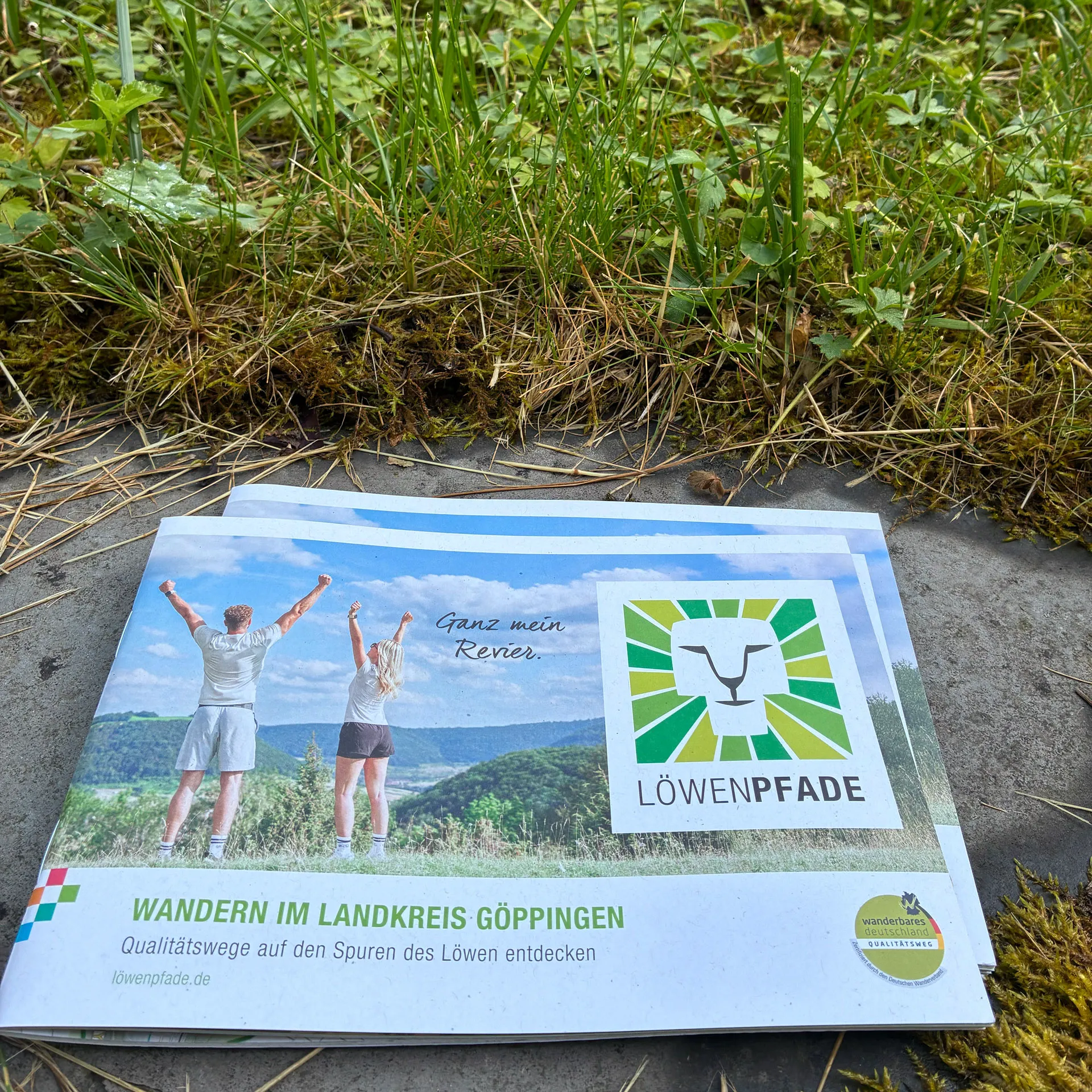 Zwei Personen mit erhobenen Armen auf einer Wiese vor einer Berglandschaft, daneben das Logo des Löwenpfad-Projekts. Die Broschüre liegt auf einem Waldboden mit Gras und Laub. Text auf dem Cover: 'Wandern im Landkreis Göppingen – Qualitätswege auf den Spuren des Löwen entdecken' und 'Ganz mein Revier.